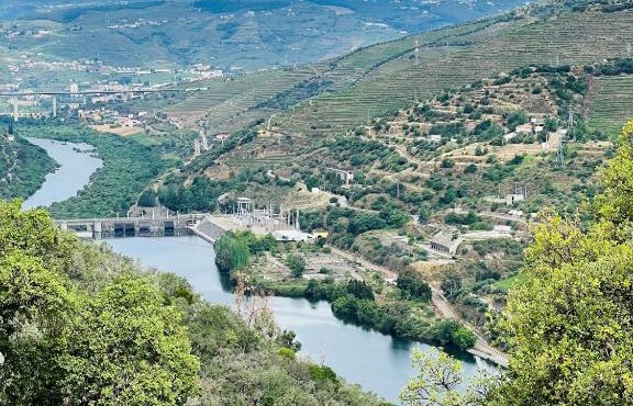 Quinta da Pinguinha - Douro