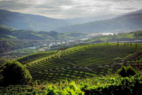 Quinta do Vallado - Douro Wine Hotel in Peso da Regua