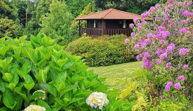 Quinta das Eiras Abrigo 7