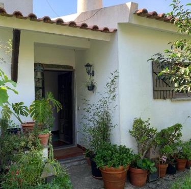 Regenerative Living Cascais