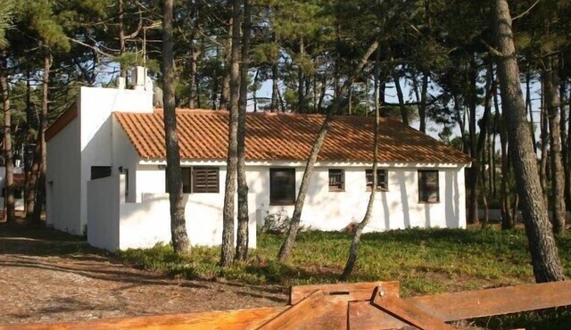 Rural beach villa between the mountains and the sea in Esposende