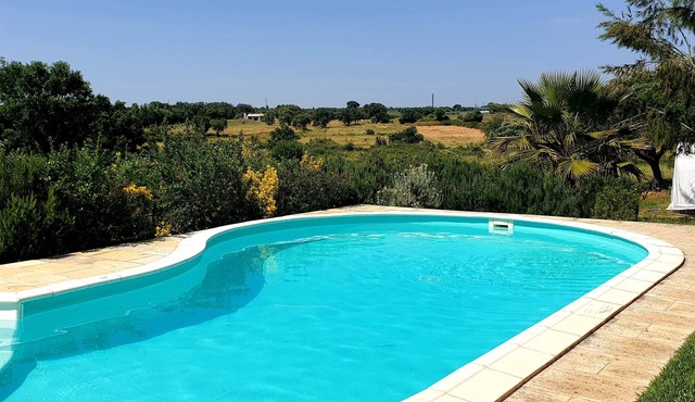 Rustic villa with a private pool, ideal for families. Quick Access to Lisbon/Fatima in Santarém