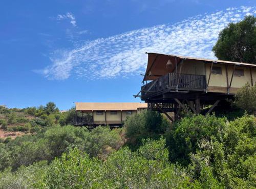 Salema Eco Camp - Sustainable Camping & Glamping