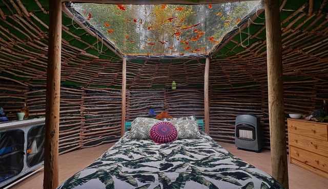 Selfmade Yurt - NaturViana in Viana do Castelo