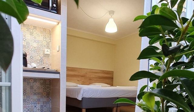 Suite em João Gama Guest House