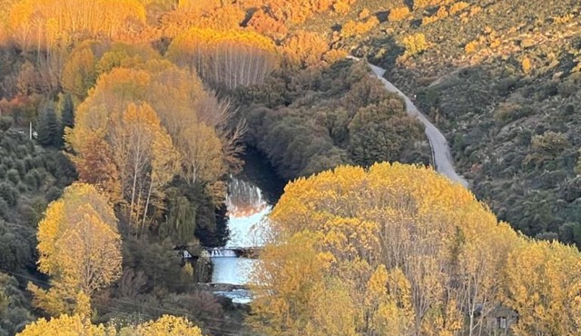 Sweet Quintanilha in Braganca