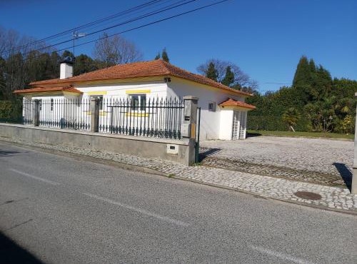 T3 Cozy Old House with XL garden in Agueda