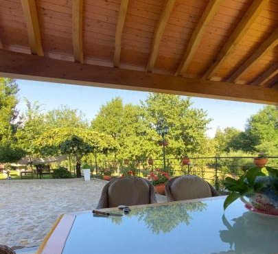 The Assento Elegance and Nature