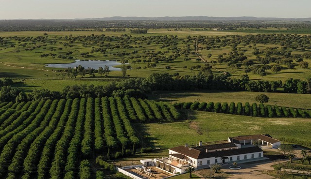 The Azinhal (Brand New) Estate in Alentejo, Portugal