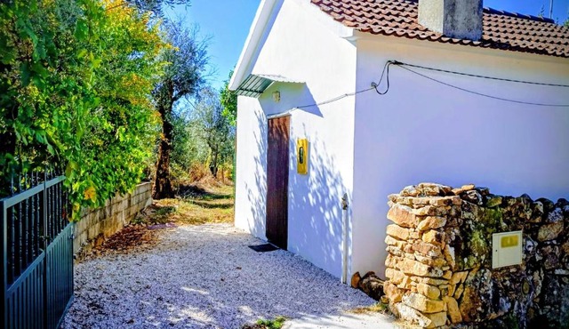 Tiny Cottage in Serta