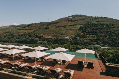 Torel Quinta da Vacaria - Douro Valley in Peso da Regua