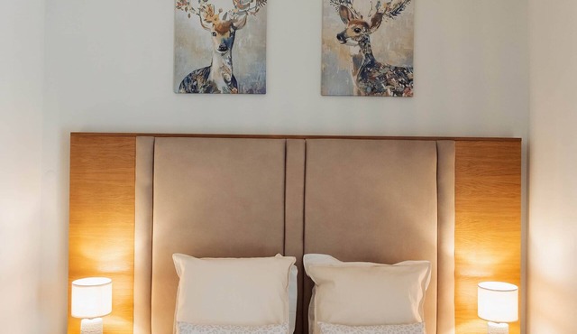Villa Views Deluxe Double Room (14) with Private Bathroom (Basto Headboards)