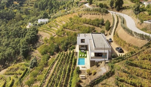 Villa with a Pool in the Douro Valley in gestaco - BAIAO