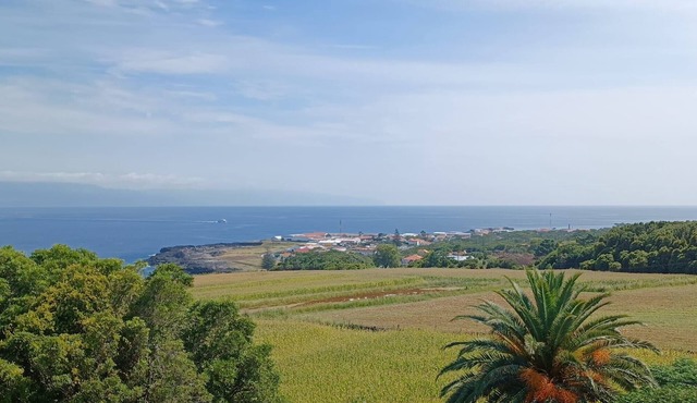 Vista da Baía - Casa do Aniceto Apartment with Sea View, Private Terrace & Wi-Fi in Santo António SRP