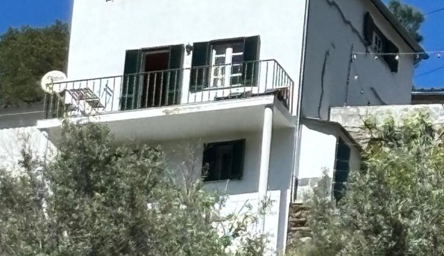 White House in Arganil