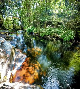 Wylde Roots River House - with natural river swimming pools