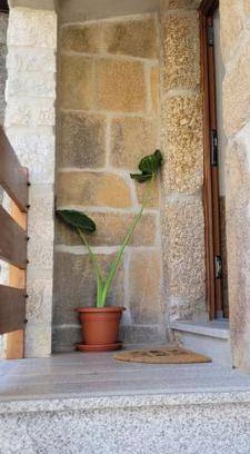 Pero Viseu House | 22 m² House ∙ 2 bedrooms ∙ 4 guests