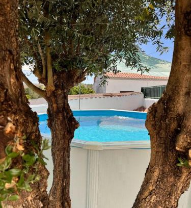 Castro Verde House | Casa D' Oliveira