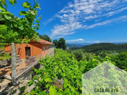 Bico House | Quinta da Vinagra