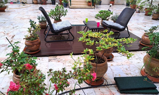 Lisbon Old Town House | Sunny Terrace of Flowers in Central Lisbon