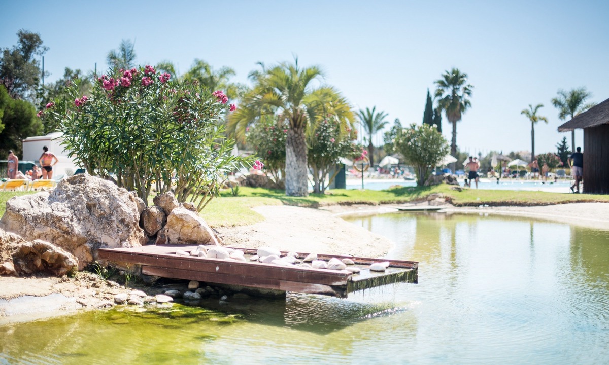 Alvor Hotel | The Navigator - Palm Oasis Alvor
