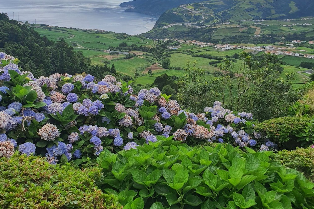 Faial Da Terra House | Casa do Monte