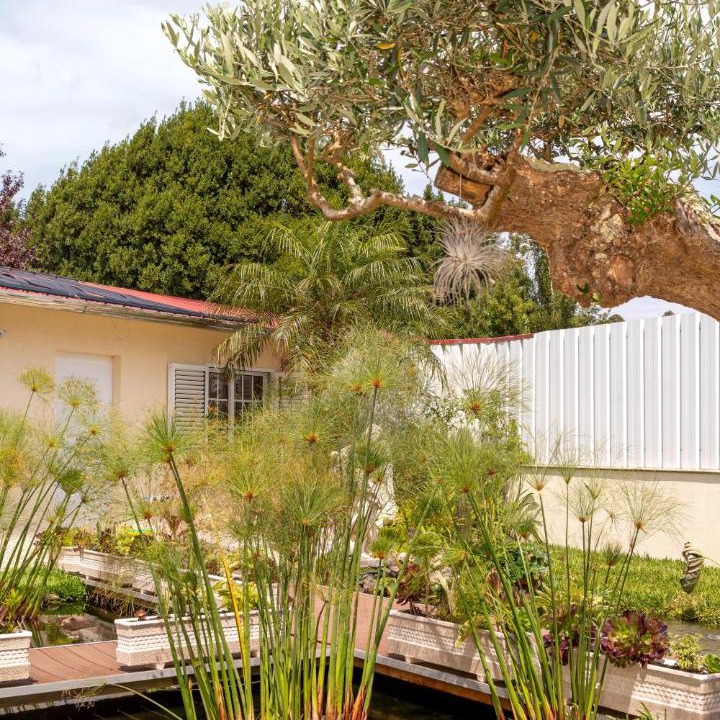 Espinho House | Casa do Lago guest house