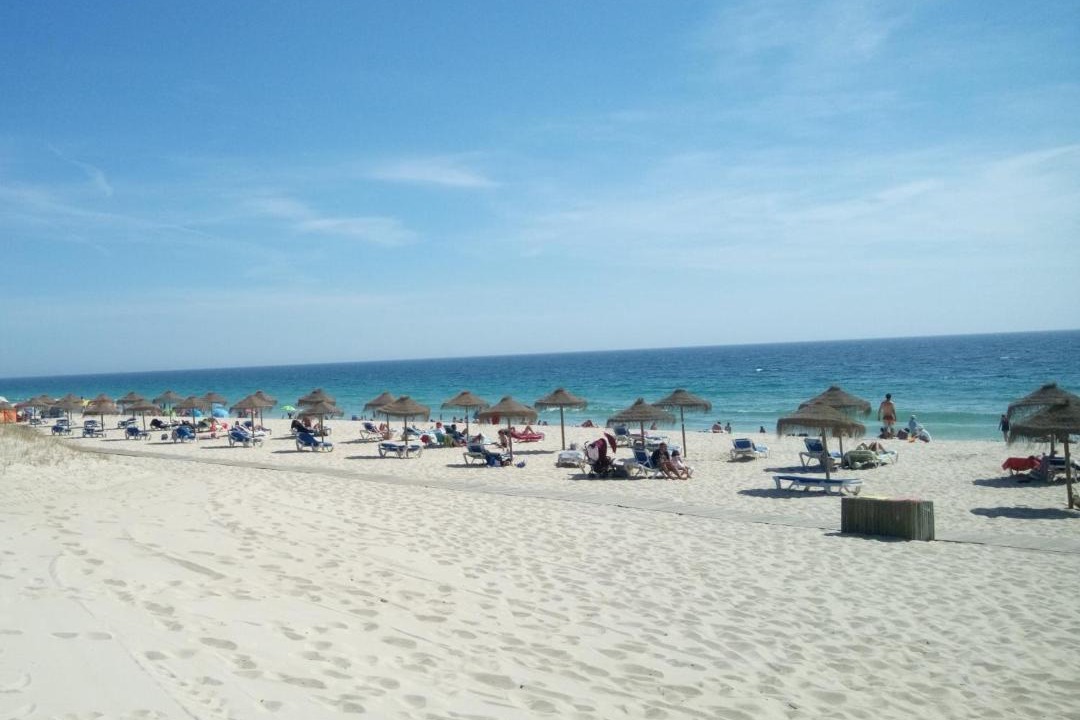 Montijo Bed & Breakfast | Monte Girassol - The Lisbon Country House!