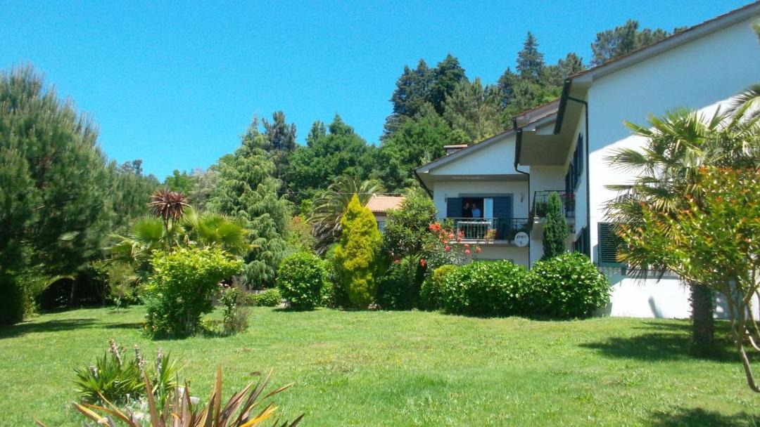 Sao Pedro do Sul Villa | Casa Pinho