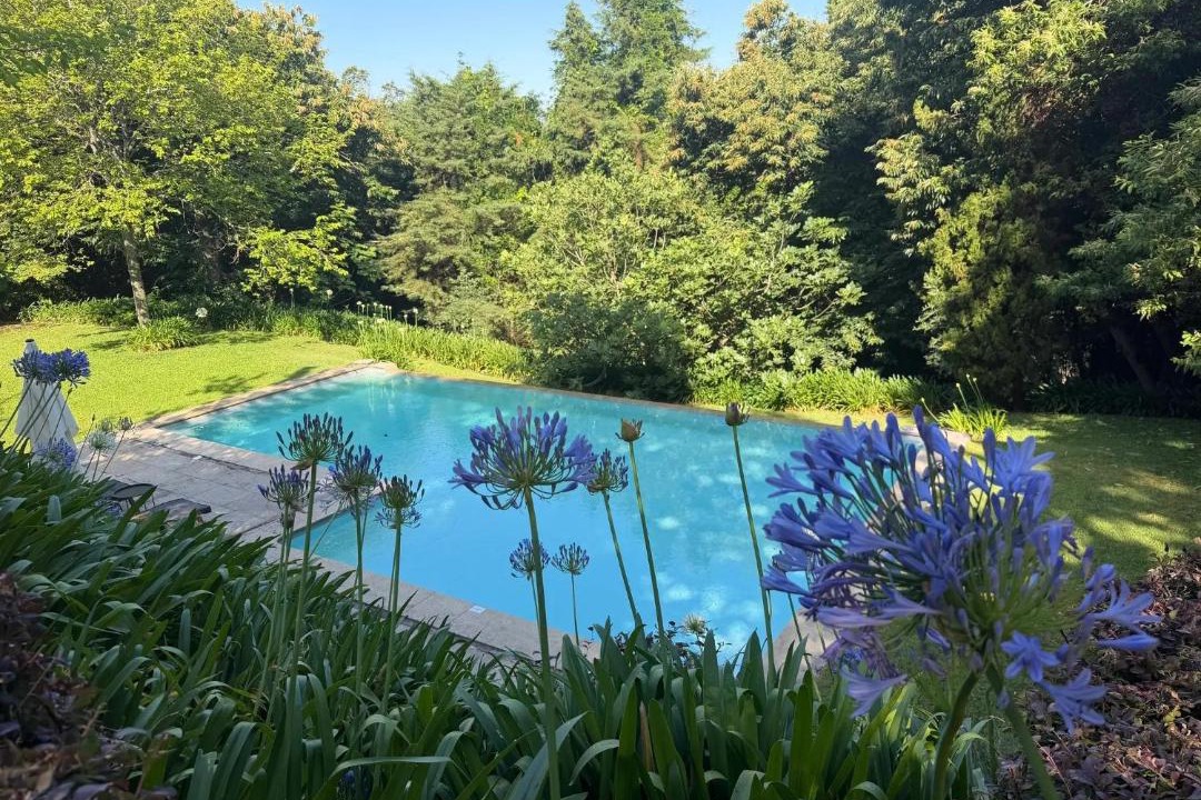 Ponte de Lima House | Suites do Jardim