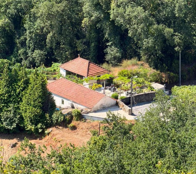 Paredes de Coura House | Monte Johannes