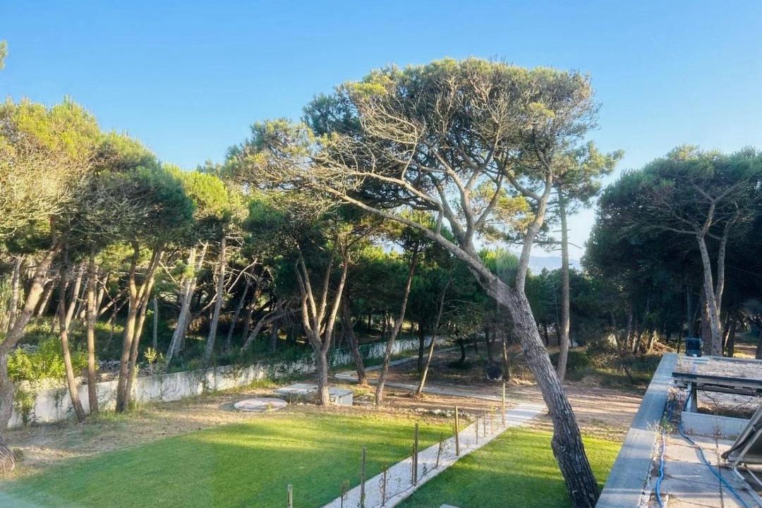 Azenhas do Mar House | Forest Village