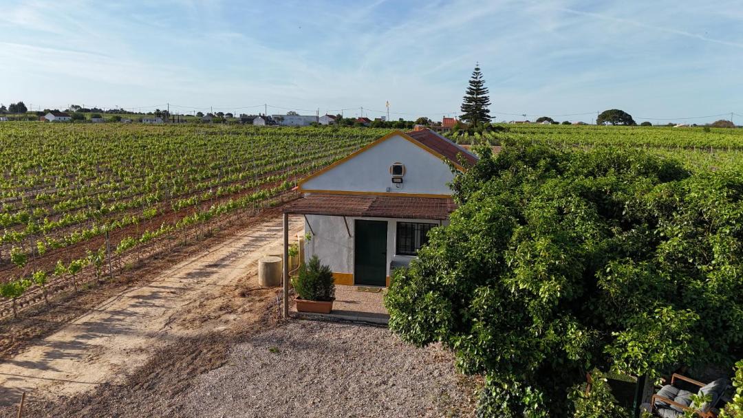 Palmela House | Casa Trincadeira