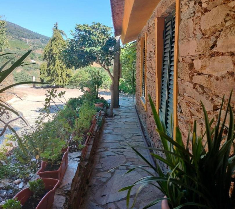 Torre de Moncorvo House | Casa de Canelas - Refugio Terroir