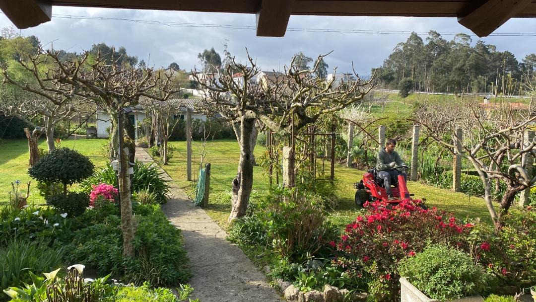 Sao Pedro da Torre House | A casa das hortênsias- caminho de Santiago