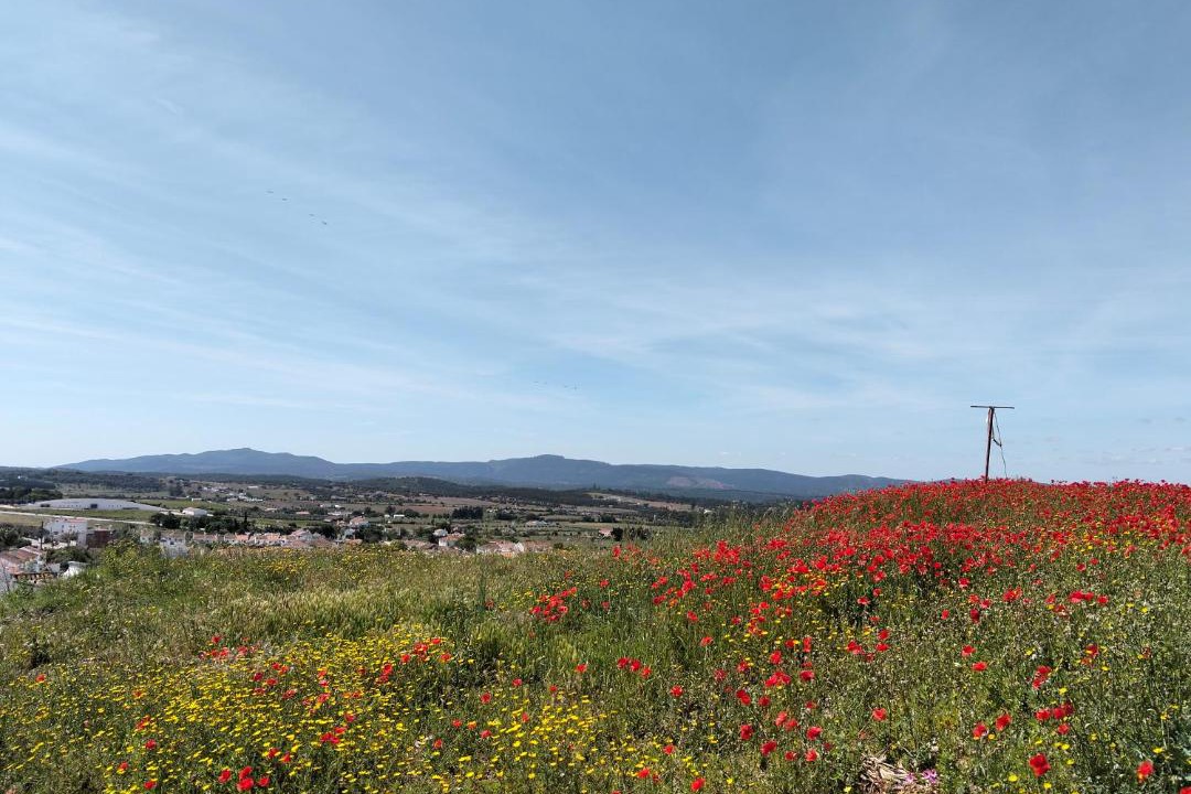 Estremoz Apartment | Casa da Muralha
