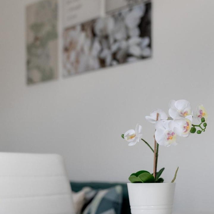 Amadora Apartment | 2bedroom apt in Reboleira free public parking