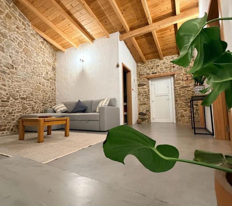 Sao Pedro da Cadeira House | Casa das Figueiras