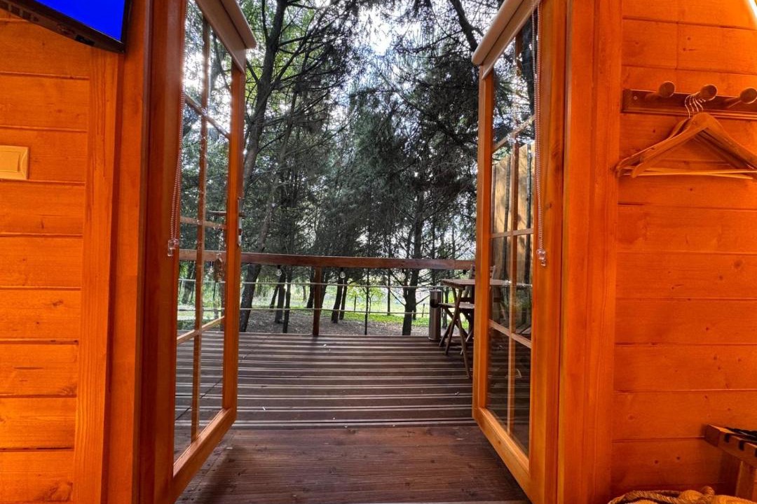 Freamunde Hotel | Glicínia Boutique Hotel