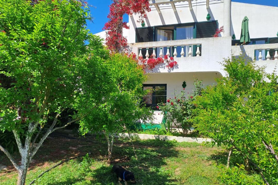 Funchal House | Av Fonte Coberta, Lagos, Villa Fonte Coberta