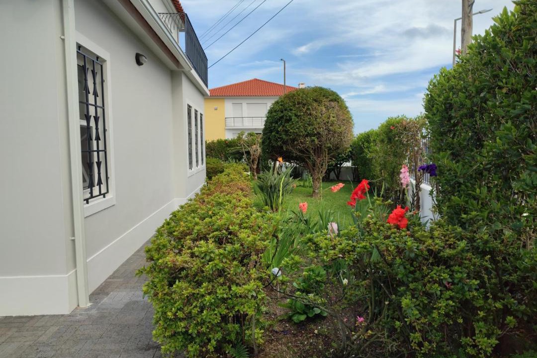 Faja de Baixo House | Casa da Isabelinha