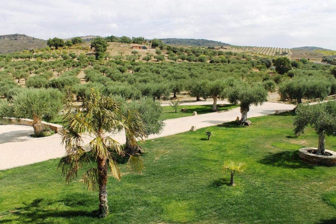 Mirandela Bed & Breakfast | Casal da Porta - Quinta da Porta