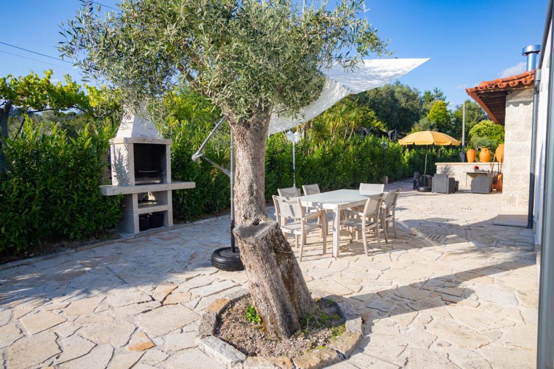 Bico House | Casa d' Avó Marcelina - Casas de Campo