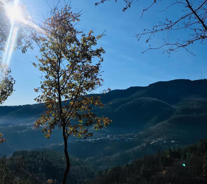 Parada House | "Casa Da Russa" Mountain Experience
