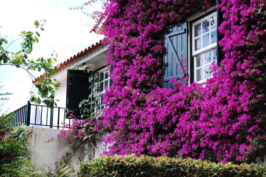 Vilarelho House | Casa de Esteiro