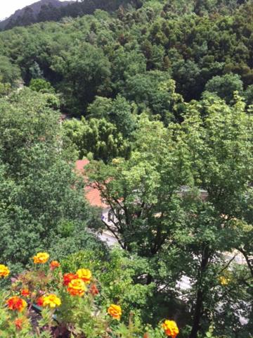 Geres House | Casa da Avó