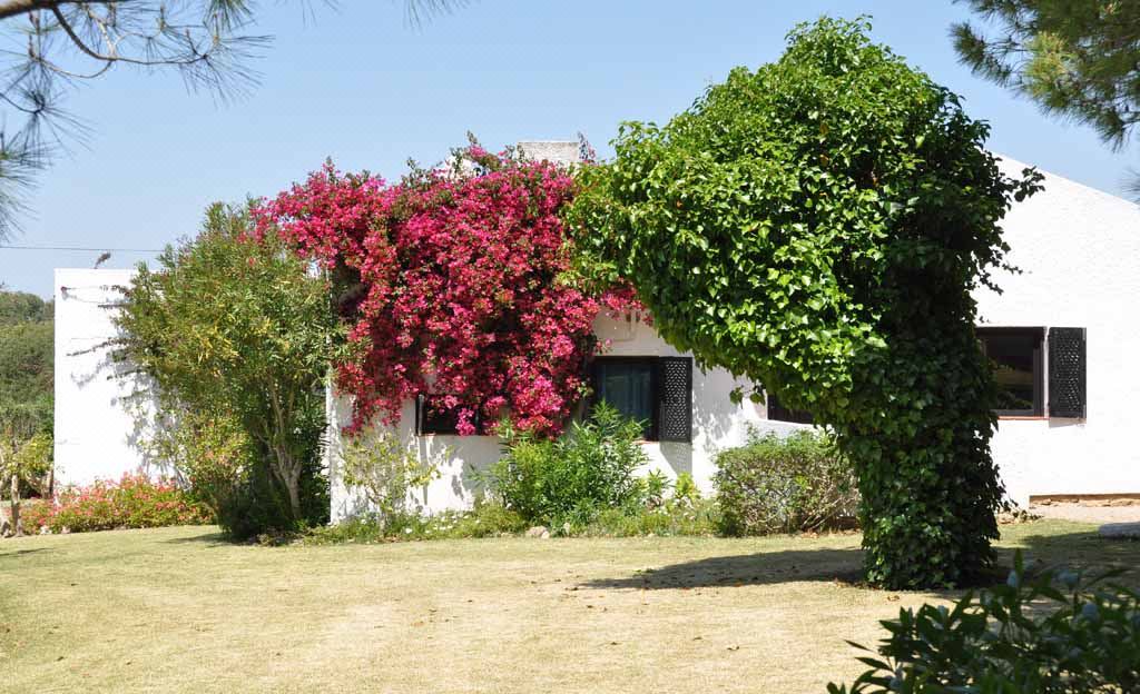 Photo of Buildings in Conceicao e Cabanas de Tavira