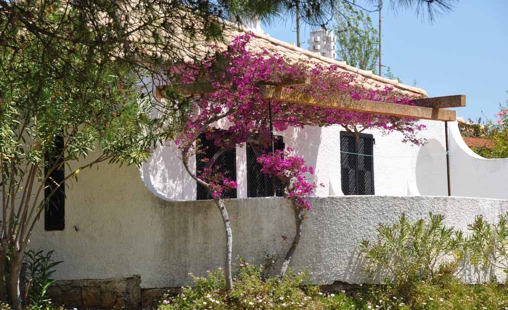 Photo of Buildings in Conceicao e Cabanas de Tavira