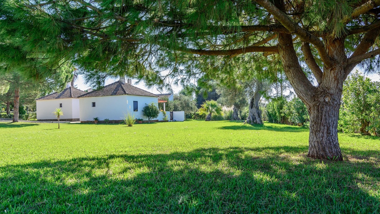 Photo of Buildings in Conceicao e Cabanas de Tavira
