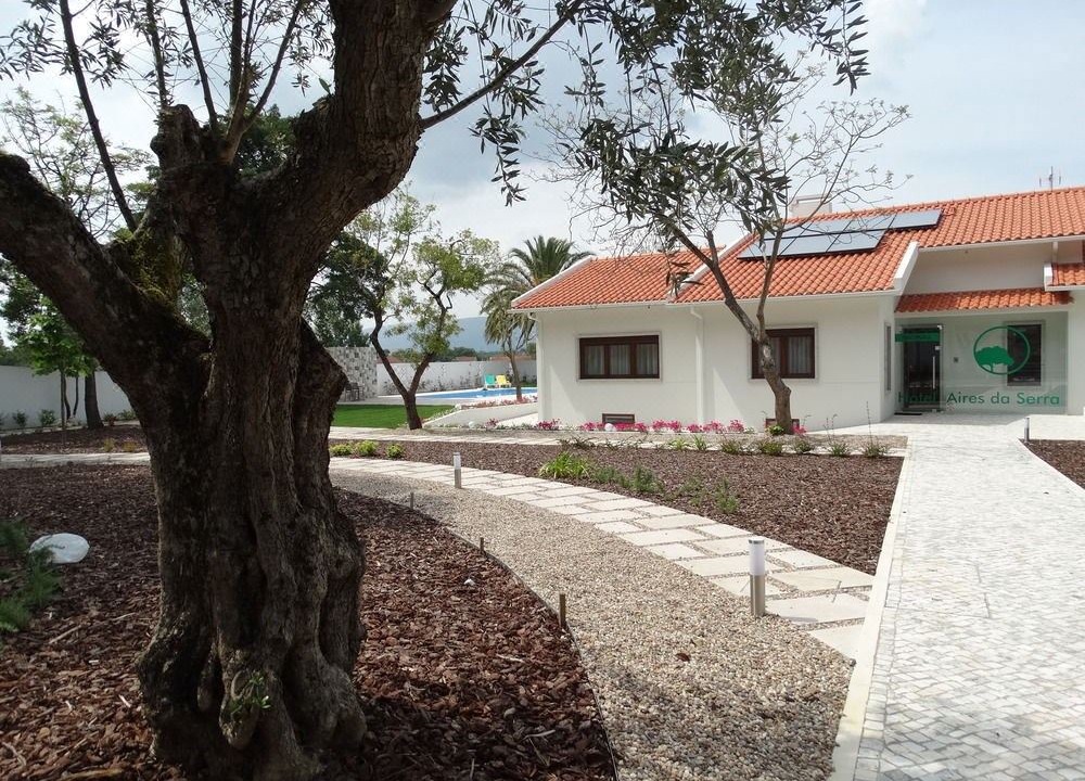 Photo of Buildings in Torres Novas